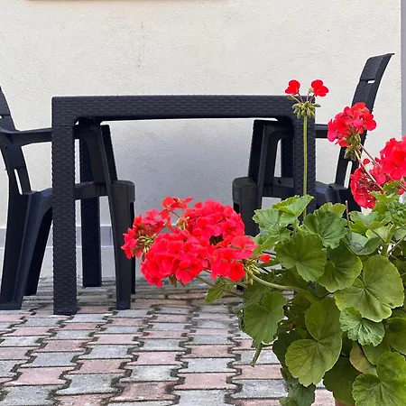 Διαμέρισμα Me Qera Golem (Tirana)